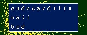 EndocarditisNailBed