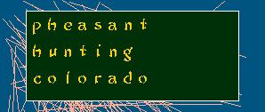 PheasantHuntingColorado