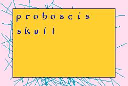 ProboscisSkull