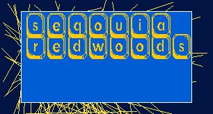 SeqouiaRedwoods